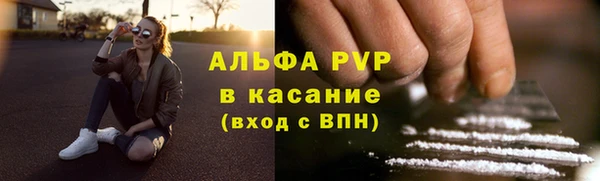 дживик Краснослободск