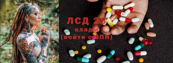 дживик Краснослободск